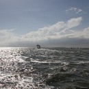 FG Mannheim 21 Bartmann Horst